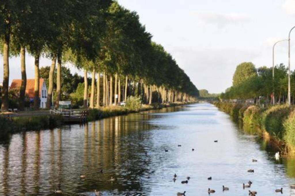 Duplex appertement met zicht Damse vaart @ Brugge Lejlighed Eksteriør billede